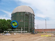 1 -4MW planta de energía de biogás EPC llave en mano BOT BTO Servicio de proyecto con tanques de almacenamiento de vidrio fundido con acero