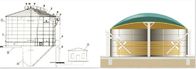 Tanque de almacenamiento de biogás Superior EPC proveedor llave en mano para energía de biogás residual Sistema completo