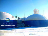 Tanque digestor anaeróbico de vidrio fundido a acero para proyecto de biogás en Mongolia Interior