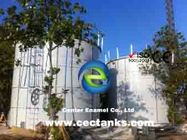 Tanques de almacenamiento sobre el suelo / tanques de digestión anaeróbica para el proyecto de tratamiento de aguas residuales