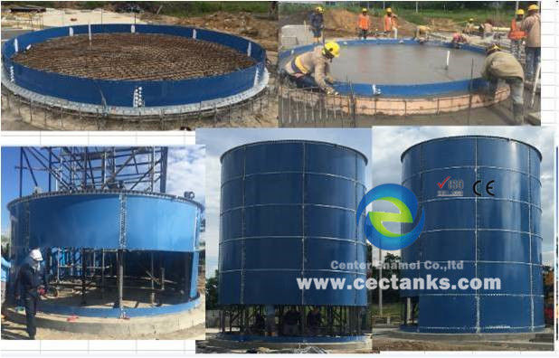 Proyecto EPC llave en mano Planta de energía de biogás con depósito de vidrio de digestor anaeróbico fundido a acero 2