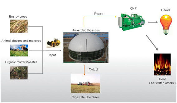 EPC USR/CSTR Proyecto de planta de biogás de fermentación anaeróbica, depósito de biogás de almacenamiento de residuos para energía 1