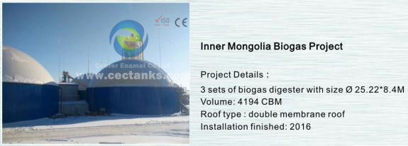 Durabilidad Sistema de depósito de biogás para soluciones llave en mano en proyectos de bioenergía 0