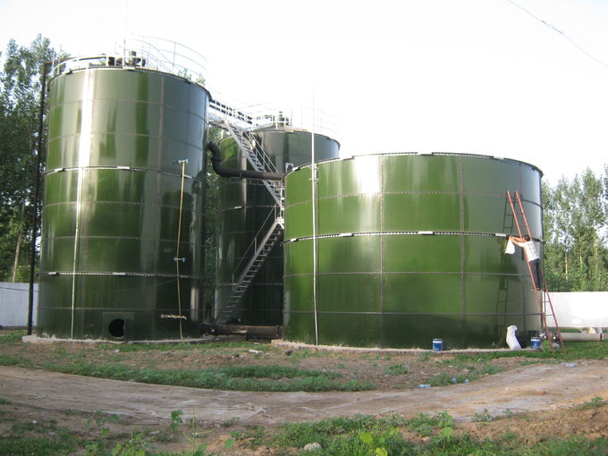 Equipo de planta de biogás Tanque de almacenamiento de biogás Más de 30 años de China 0