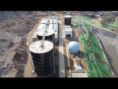 De los residuos a la riqueza: el éxito de Center Enamel en transformar las aguas residuales de las granjas de cerdos de Beijing