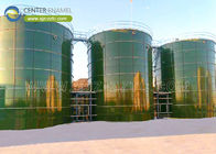 Proyecto de planta de biogás de 20 m3 en tratamiento de residuos alimentarios protección del medio ambiente