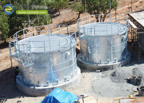 Silos de grano de acero galvanizado personalizables Solución de almacenamiento confiable
