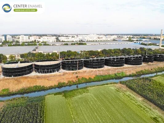 Tecnología Sostenible de Biogás para Proyectos de Tratamiento de Aguas Residuales de Granjas de Cerdos en Malasia