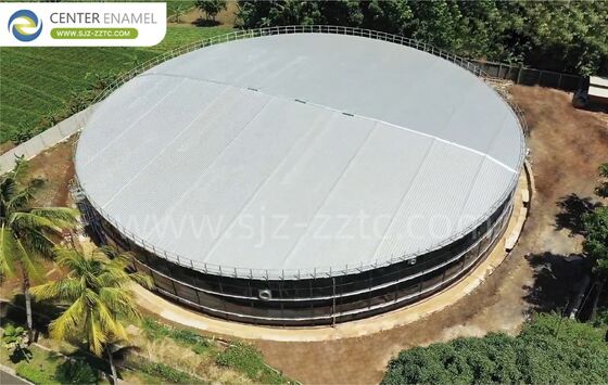 Contratista EPC para Malasia del proyecto líder de tratamiento de aguas residuales de ganado