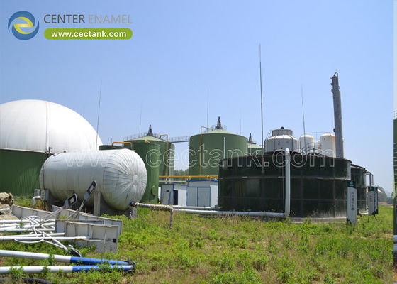Tanques de vidrio fusionado con acero para una central de gasificación de biomasa de 1 MW: conversión eficiente de residuos en energía