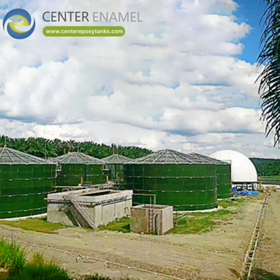 En el caso de las instalaciones de bio-gás natural combinado (BNG), el contenedor principal para la digestión de biogás.