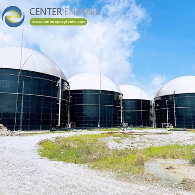 Tanque de biogás para el tratamiento de residuos industriales: El contenedor principal para la digestión de biogás.