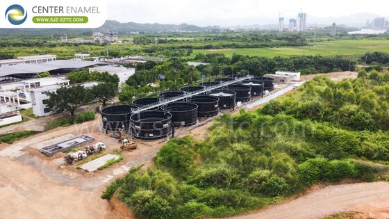 Soluciones de energía sostenible: tanques GFS y techos de doble membrana para proyectos de biogás en Kenia