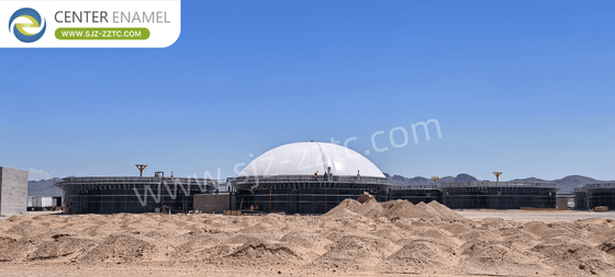 Leading Biogas Solution Provider CSTR Reactor Poultry Manure Treatment in Australia